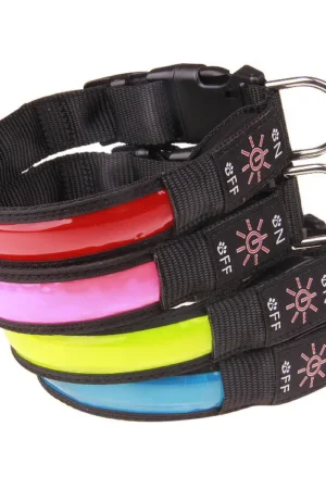 Collier LED rechargeable