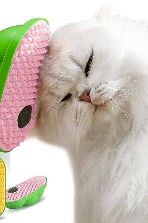 Jouets muraux à herbe à chat