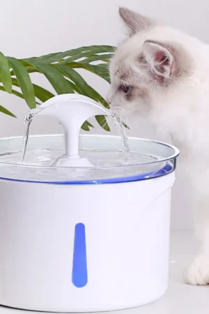Fontaine à eau 3L pour chien et chat