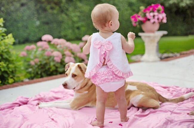 Bébé et son chien